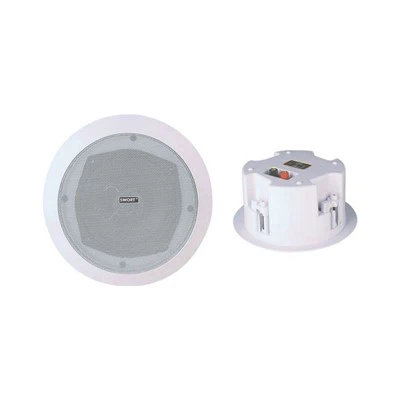 in Ceiling Bluetooth Speakers