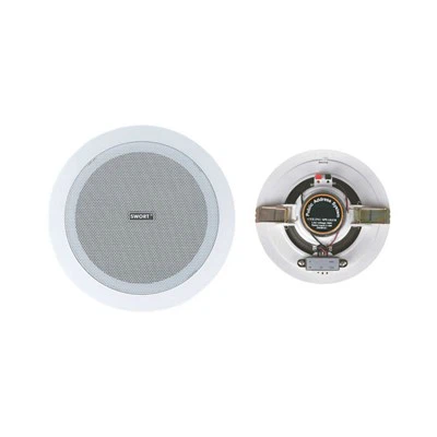 Slim Ceiling Speakers